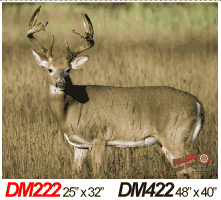 DM422